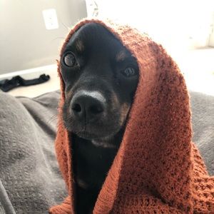 Meet your Posher, Rachael